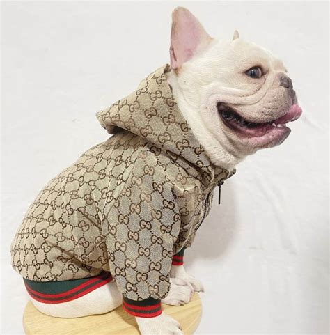 dog shoes gucci|luxury designer dog clothes.